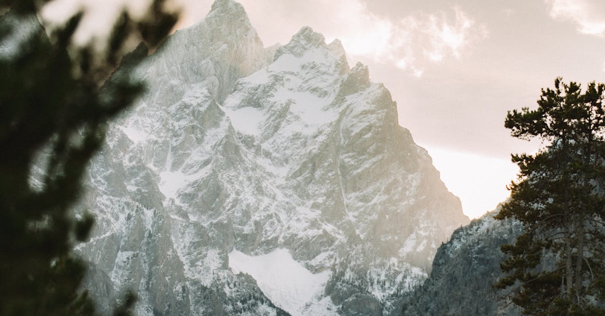 Backflow Prevention Services in Mount Lewis  