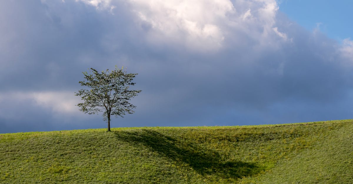 Backflow Prevention Services in Potts Hill
