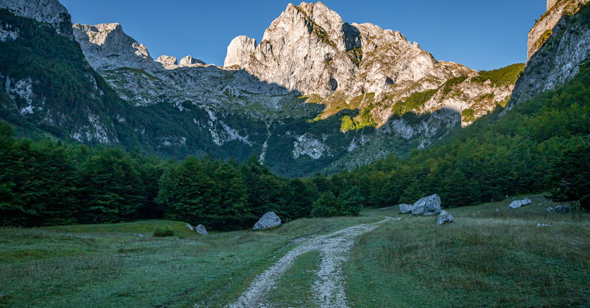 Bathroom Renovation Plumbing in Bass Hill  