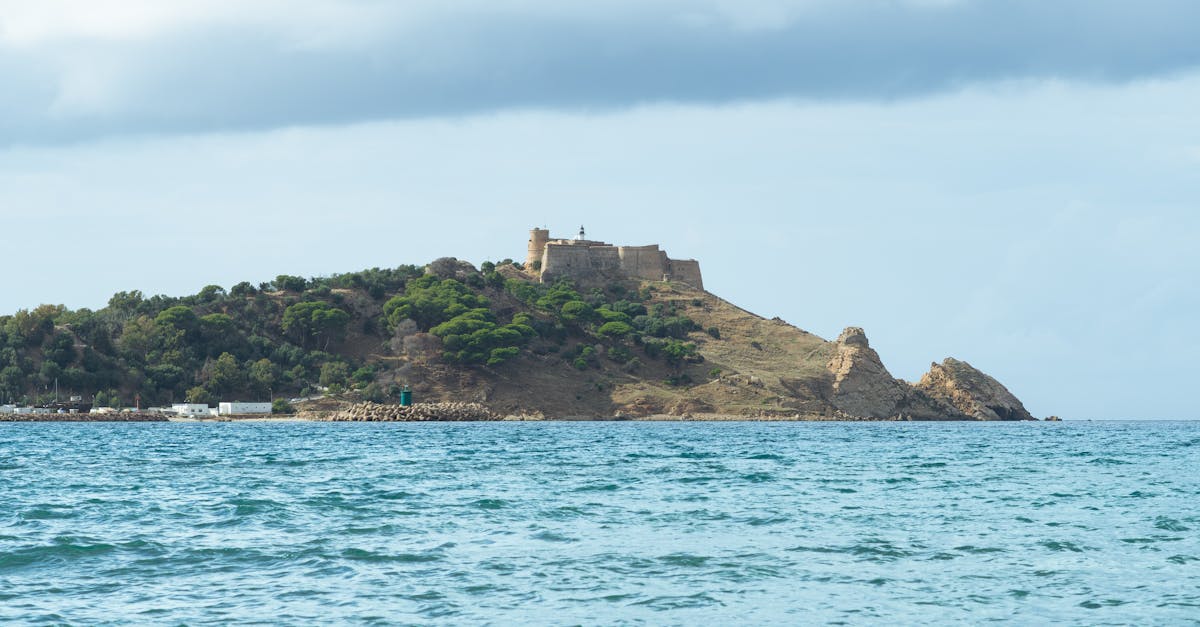 Commercial Plumbing Services in Bass Hill  