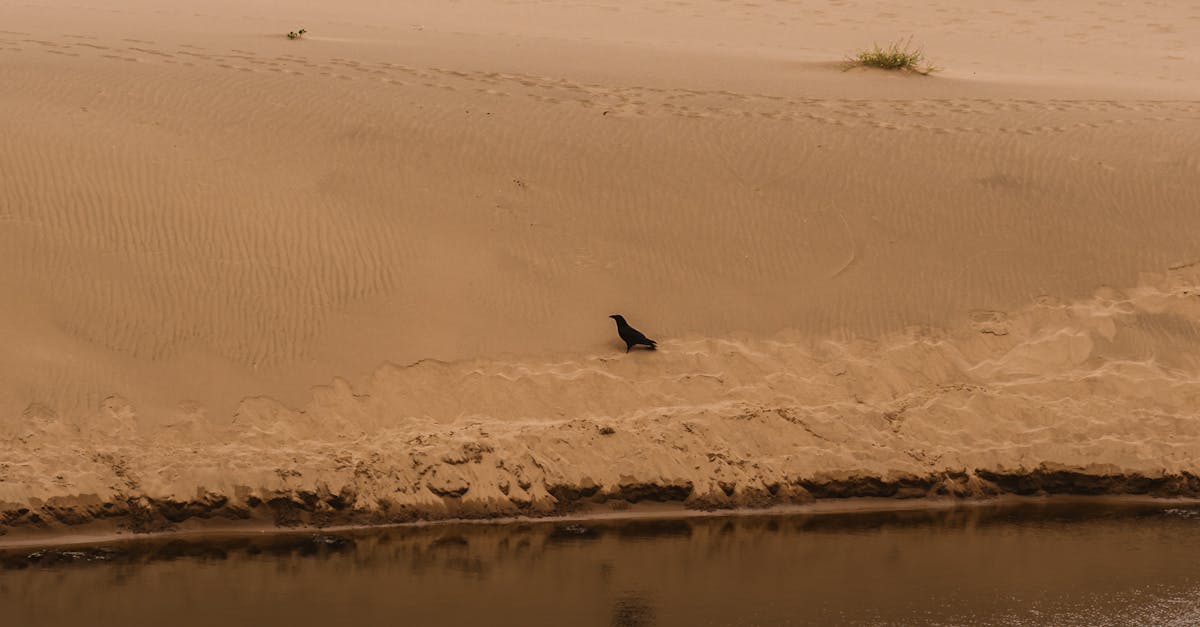 Hot Water System Repairs