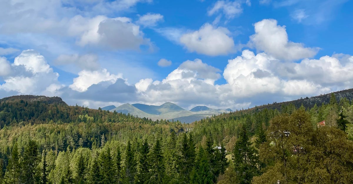 How do you spot a dodgy plumber?