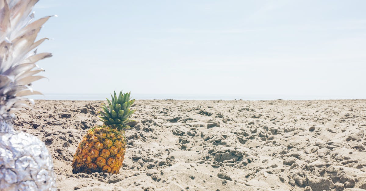 Kingsgrove, New South Wales