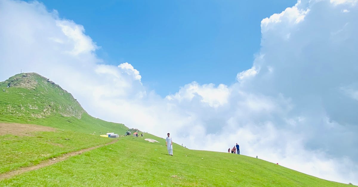 Leak Detection and Repair in Bass Hill  