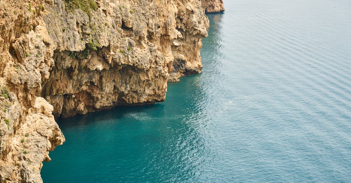 Newport, New South Wales