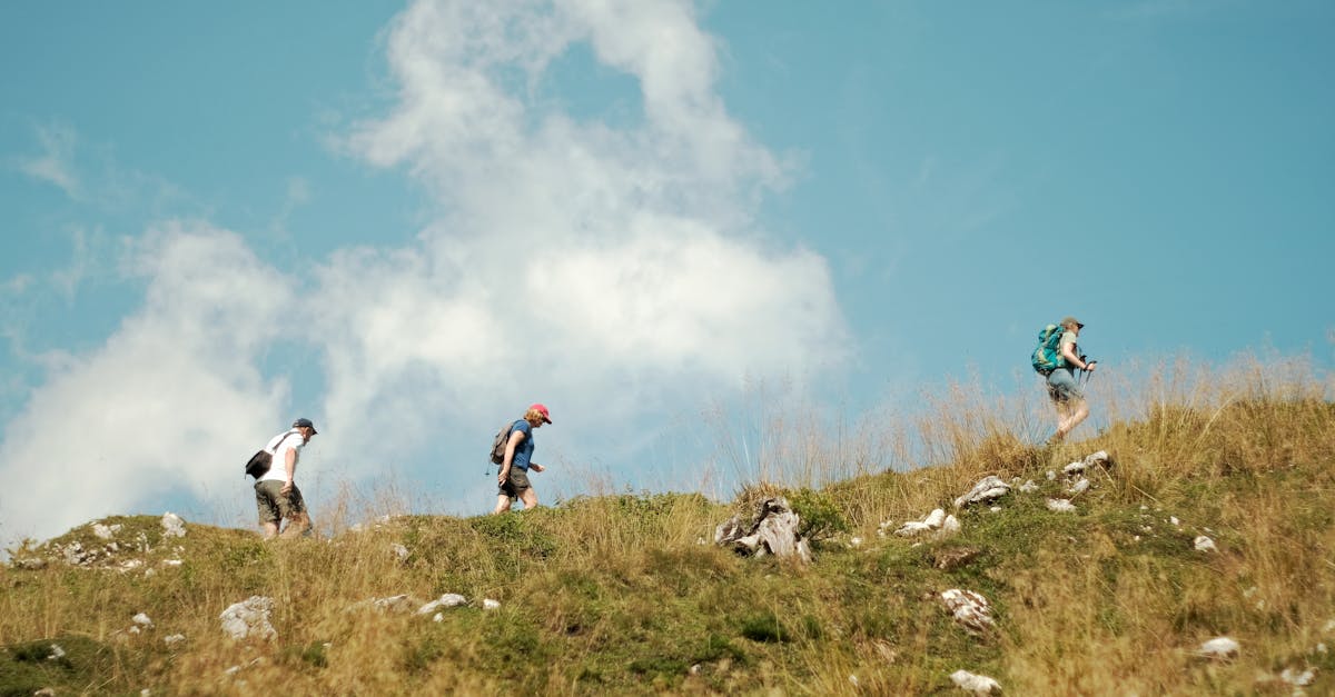 Pipe Relining Services for Potts Hill Residents