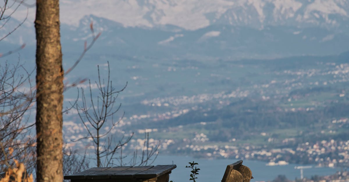 Sewer System Repairs in Picnic Point  