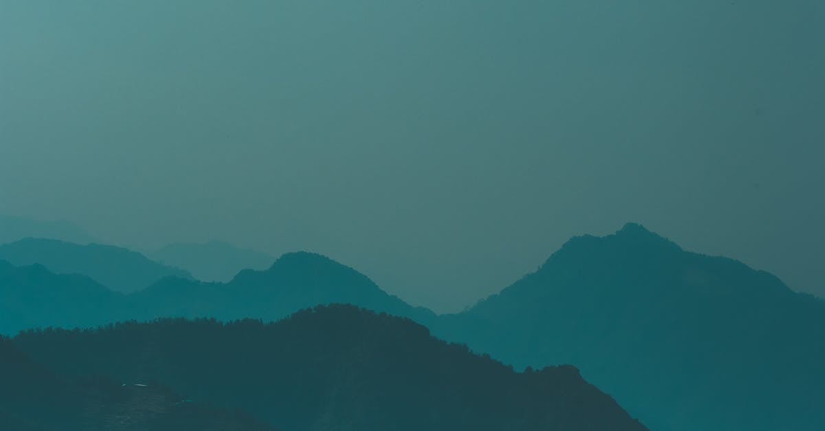 Stormwater Management Services in Revesby Heights  