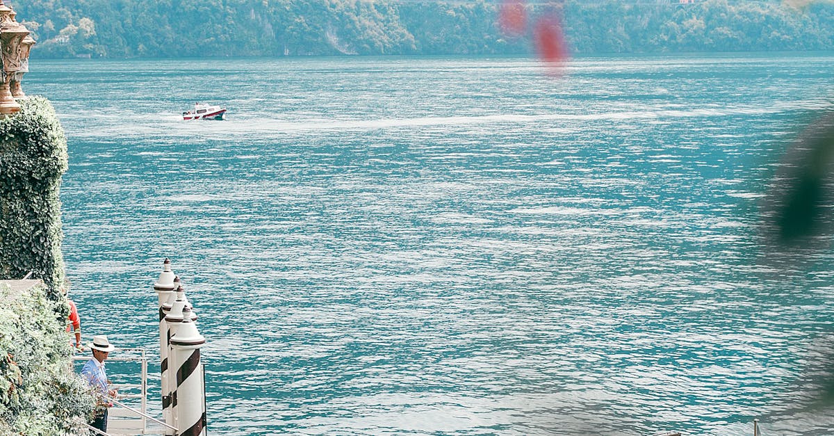 Toilet Installation and Repair in Mount Lewis  