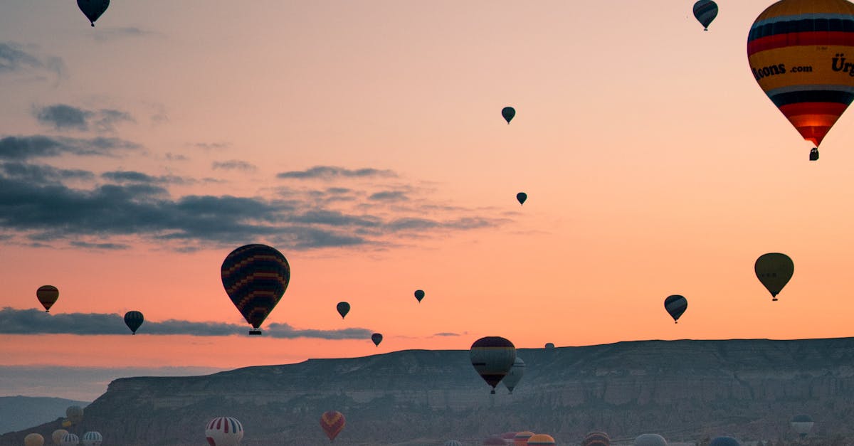 Toilet Repair and Installation Services in Padstow Heights  