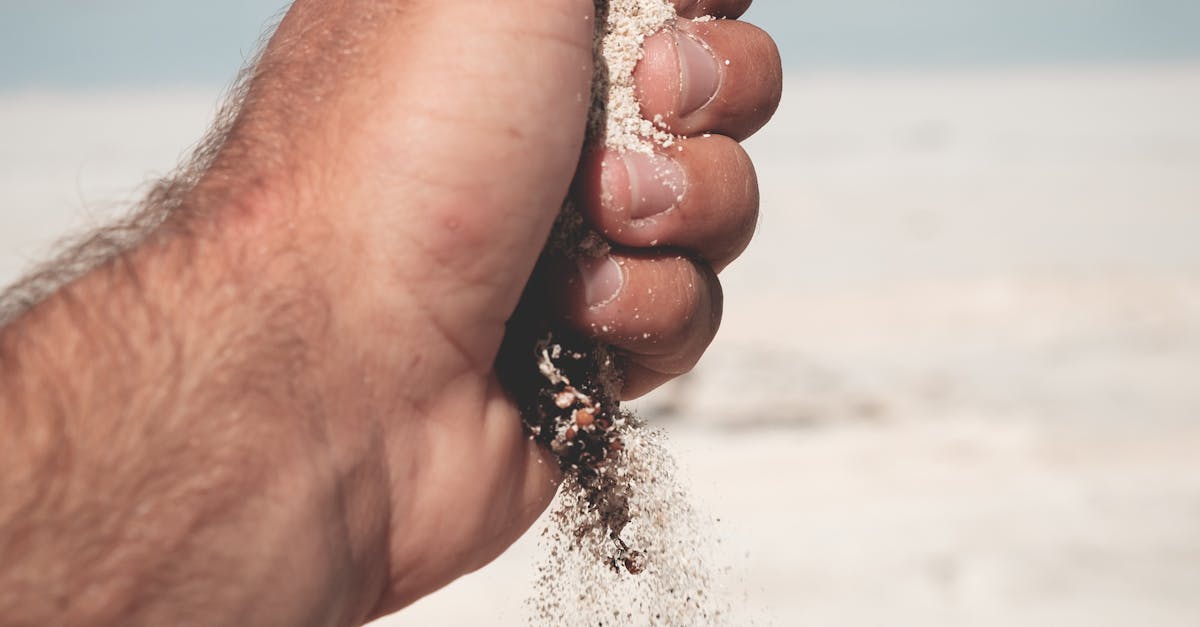 wentworth Point, New South Wales